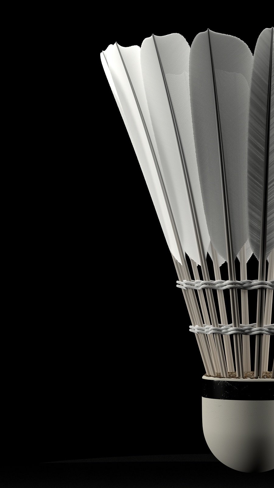 仅能获得比 仅能获得比