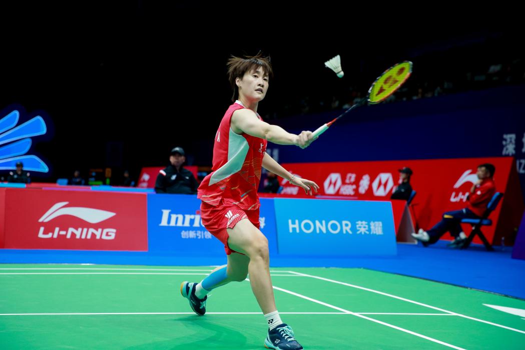 忆与阿尔法 忆与阿尔法